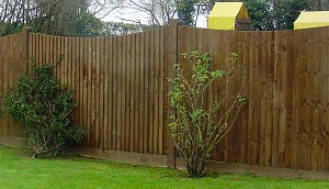 Closeboard Fencing with Scalloped Top