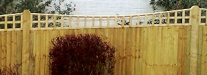 Closeboard Fencing with Scalloped Top Trellis